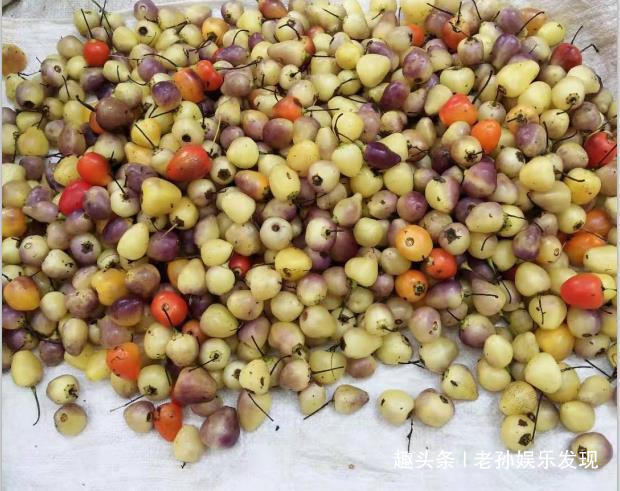  农村@它还有它，别说城里人很少见过，就是农村的年轻人也未必认