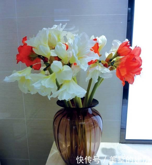  [抗旱能力]老花匠妙招，养绿萝文竹喂点阿司匹林，嗖嗖冒新芽，根儿挤破盆！