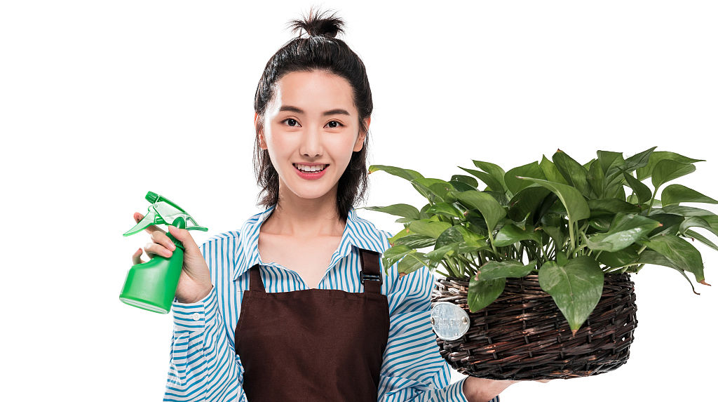  [记住]家庭养护桂花小技巧,记住这几点,成活率高不烂根!