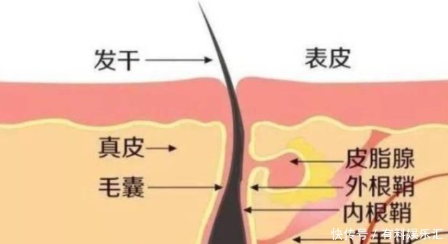 女生@被拉进“黑名单”的洗发水,00后女生仍在用难怪头发“大把掉”!