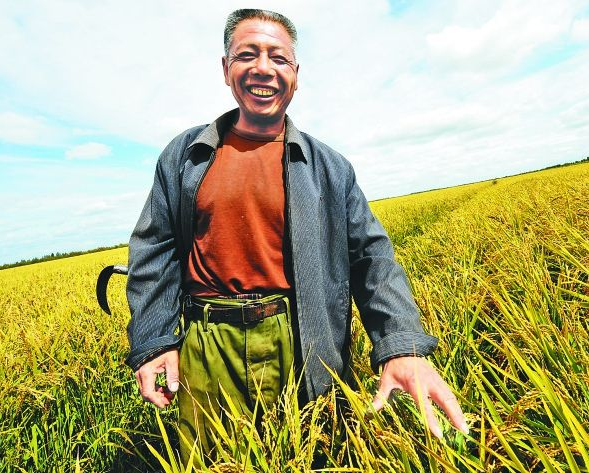  [玉米]老农乐了，玉米地里套种模式，提高玉米产量，比单一种植