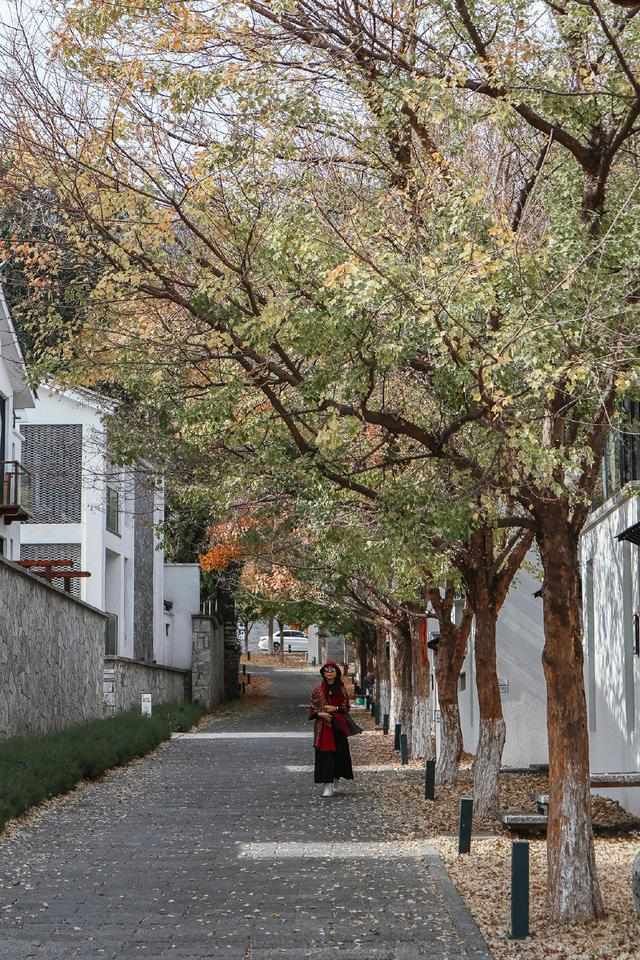 一路向西去大理，感受这里的风花雪月