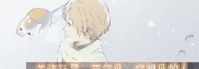  『悲剧』当火影忍者中的瞳孔打破次元壁，白眼被嫌弃，写轮眼才是众人所爱