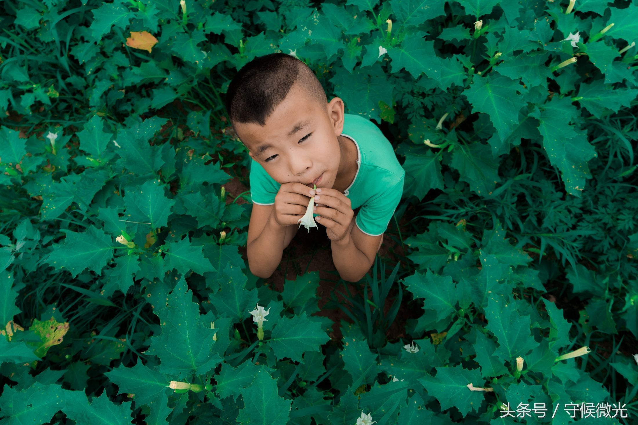 辽宁北票 一名乡村教师的6年相册