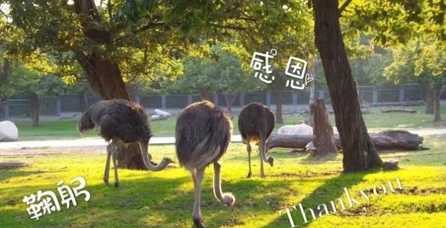 教师节、中秋节、国庆节，这里统统给你安排好了