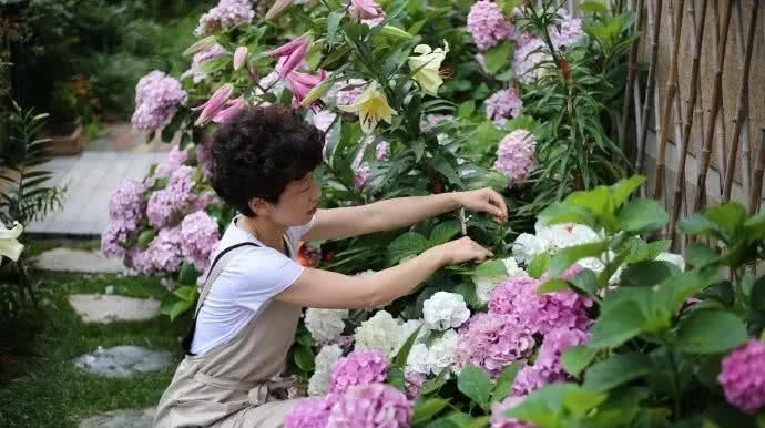  「精致」爱养花的女人，生活充满惊喜，家里处处都精致！