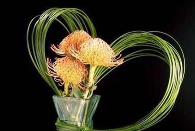  [花语]花艺界的奇葩花材，你知道多少？可别送错了人