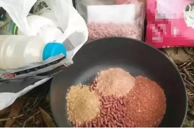  #没话说#库钓大板鲫，打窝熟记5句“口诀”，上鱼快到没话说！