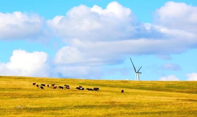 《国家地理》排名前15，被无数人向往的国内景点，你去过几个？