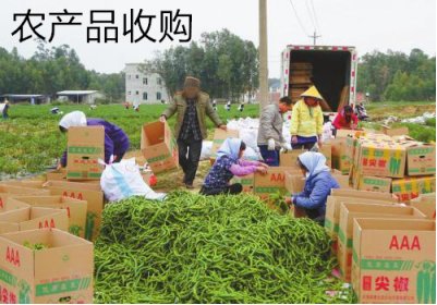 未来几年，农村三类人会一夜暴富，少说几十万进账