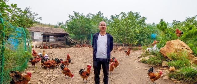  #承包#男子承包百亩荒山，放养土猪、土鸡年入100万，笑称赚钱靠