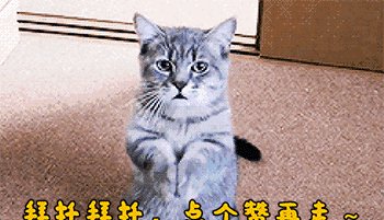 官方回应天佑封杀拿不出有力证据为他洗白，工作室倒闭彻底凉了