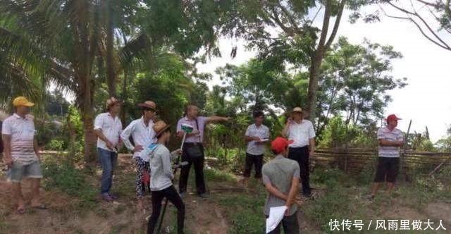 农村“三大顽疾”将被严查,有人可能要慌了！