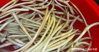 农村老汉种藕不卖藕,照样年入20万,养鸡户羡慕不已！