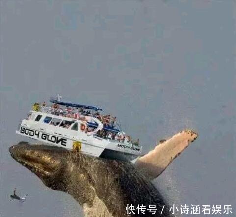 让人感到震惊的28张照片, 都不是P的