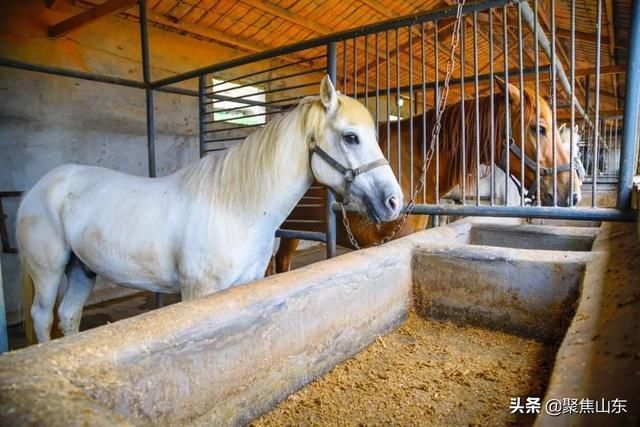 记忆中的山村老家,等着您回家看看