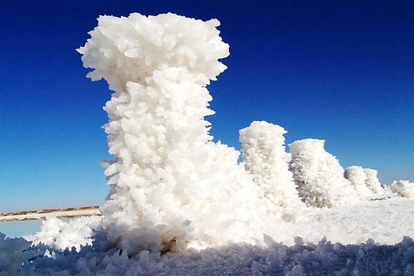 可可西里无人区  盐湖沙漠雅丹雪山湖泊草原原始风貌生机盎然