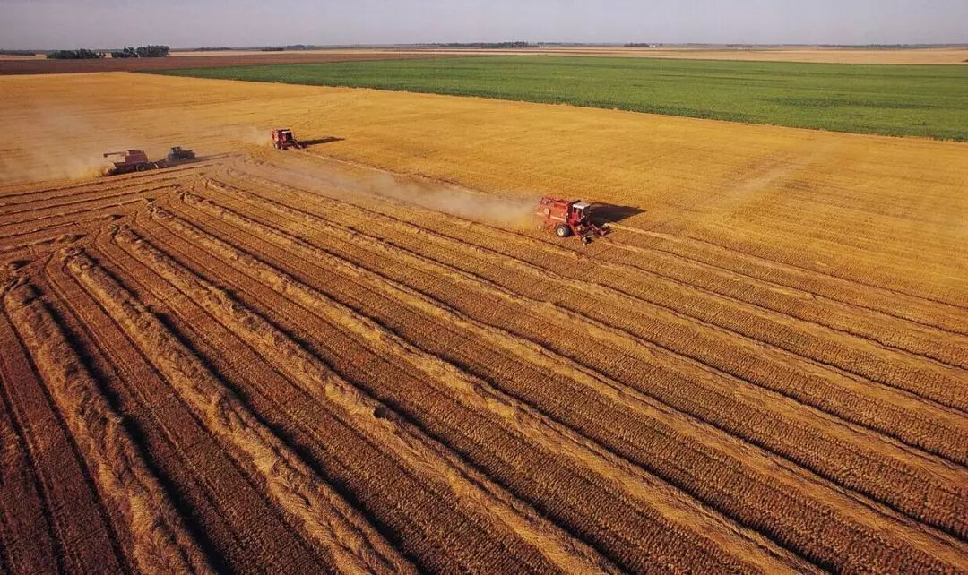 中国农业存在这九大难题，请务必用心阅读以防踏入雷区！