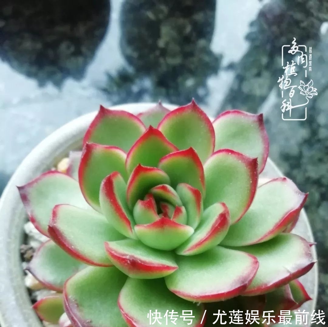 『那种』我爱的,就是你的存在!只要努力该来的都在路上!