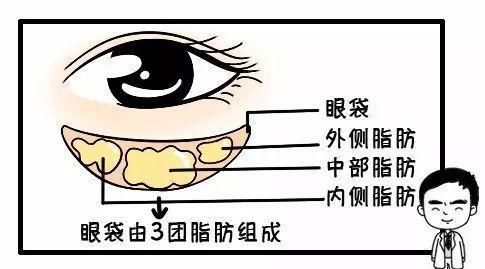  [熬夜]明明说好一起熬夜的，为什么就只有你熬出了眼袋+黑眼圈？