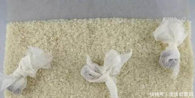  放在厨房：大米最“忌”储存在这3个地方，教你5招，大米放上一年都不会坏