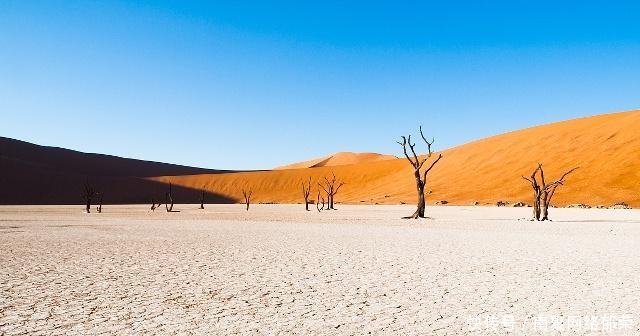 沙漠里长的这种植物, 当地人不敢靠近, 外来人却常把它当成水果!