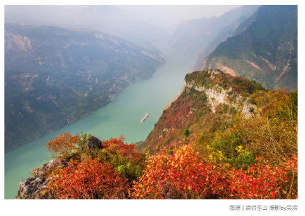 “巫山红叶节”开幕啦！万山红遍，赴一场与红叶的约定