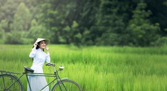 这个国家用中文写“不欢迎中国人到来”，还不到一年自己就后悔了