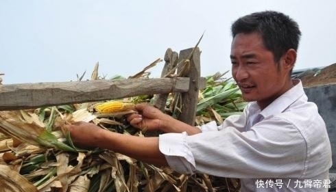  [农村]国庆过后，农村2类人群开始增多，专家不懂，老农：我们也