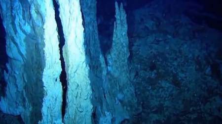 世界上深处的海洋物种,改变身体机能,完全无视