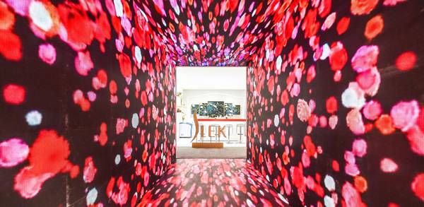 舒蕾“神秘礼盒”限时登陆石家庄 植萃内涵释放品牌年轻动力