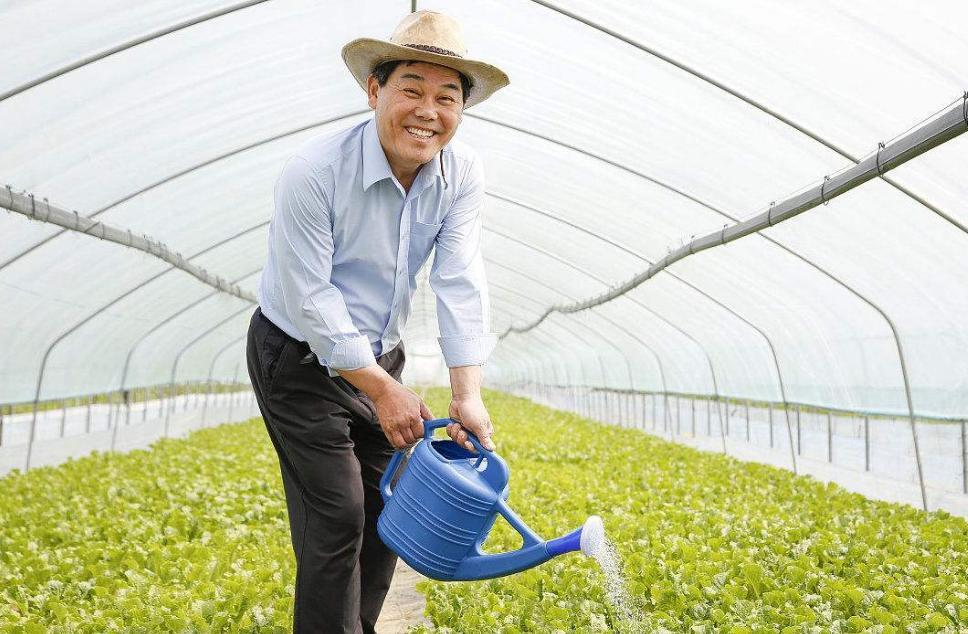 如果城里农村各有房，属于“一户多宅”吗？涨知识了