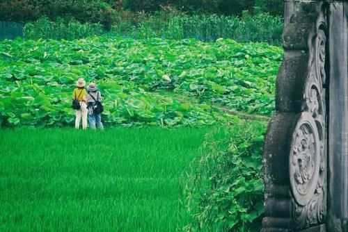 云南这座古镇媲美苏杭，比丽江撩人，比大理恬静，比香格里拉安逸