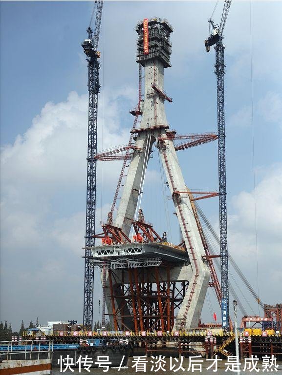  「明年」「最新」黄浦江上最新越江大桥吊装主梁！预计明年基本