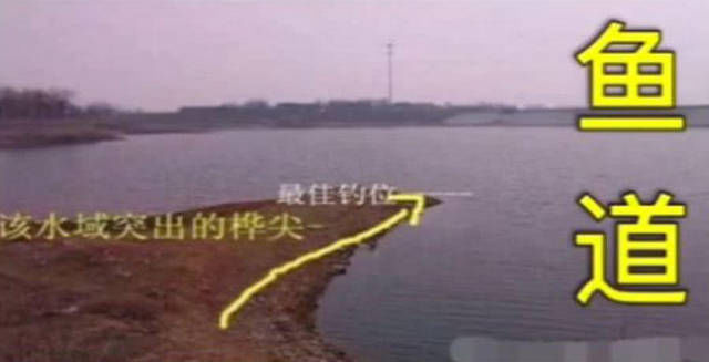 『屁股』为什么老钓手常说“屁股决定渔获”附图说明