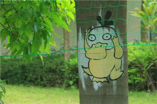 东莞撒野农庄将树木当画本，让游客脑洞大开在树上涂鸦