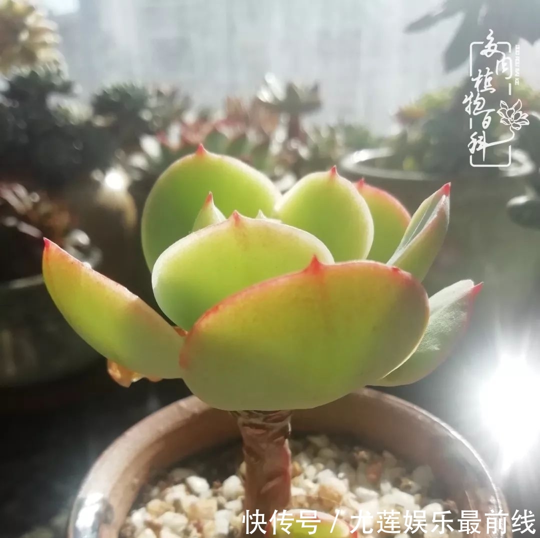  『那种』我爱的，就是你的存在！只要努力该来的都在路上！