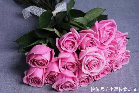 『花瓣』玫瑰花的种类这么多来看看你都认识多少