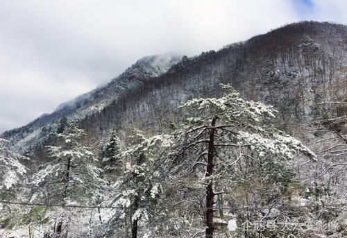  『动人』春雪降落大别山，天堂寨、马鬃岭景区银装素裹，更加壮美动人