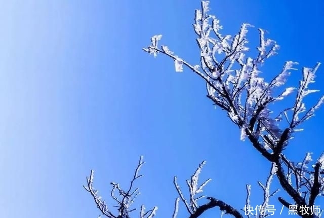 冰雪:灌阳风情:宝盖山的冰雪世界