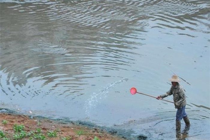  【拆除】农村这三个地方禁止“搞养殖”，会面临巨额的罚款，甚