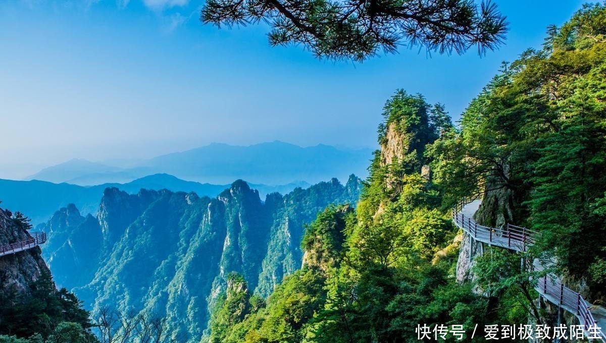  「忍不住」河南人为什么被全国骂 忍不住想说几句