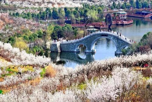 这个春天去陕西看花，八处养眼好看的赏花地美得让你落泪！