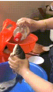  GIF@搞笑GIF趣图：肉嘟嘟的圆脸就是这么有搞头