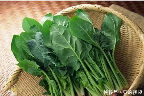  『春天』春天要多吃菠菜，这种做法还是第一次见，筷子搅一搅，上桌就抢光