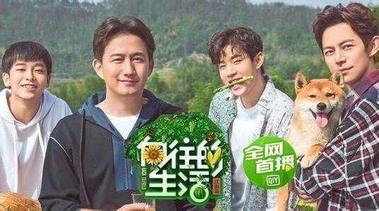 Angelababy继假吃事件 又被网友骂惨了 骂了整整87分钟