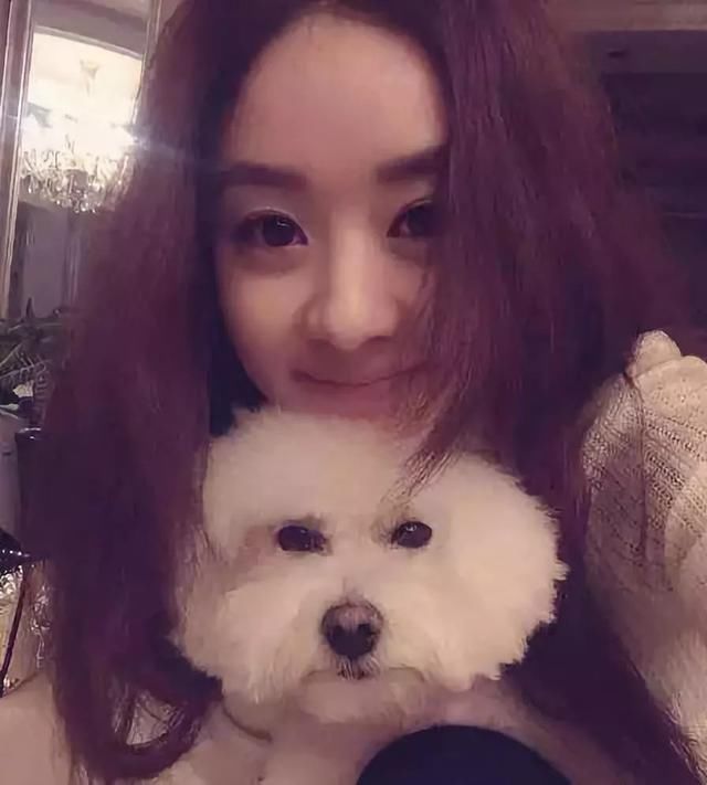 赵丽颖力破谣言？网友却拍到不一样的画面，爱犬还被寄养给朋友！