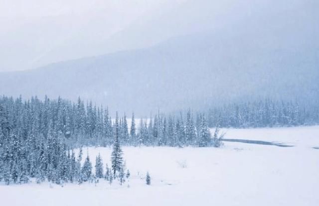 冬日，一定要去往西北，读懂喀纳斯才有的雪季浪漫