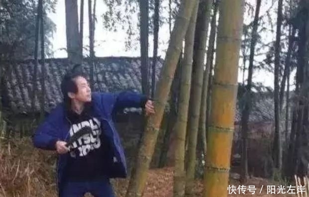  「动作」TFBOYS三小只回农村！千玺最悠闲，王源最真实，王俊凯最尴尬！
