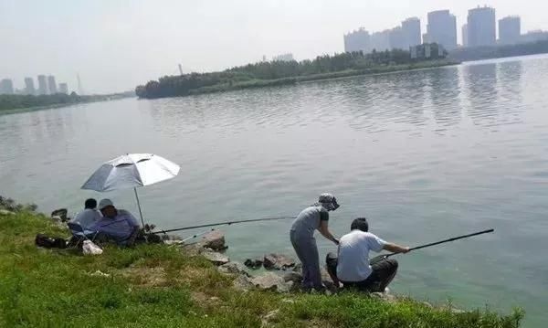  「实用」夏季钓鱼谚语，非常经典实用